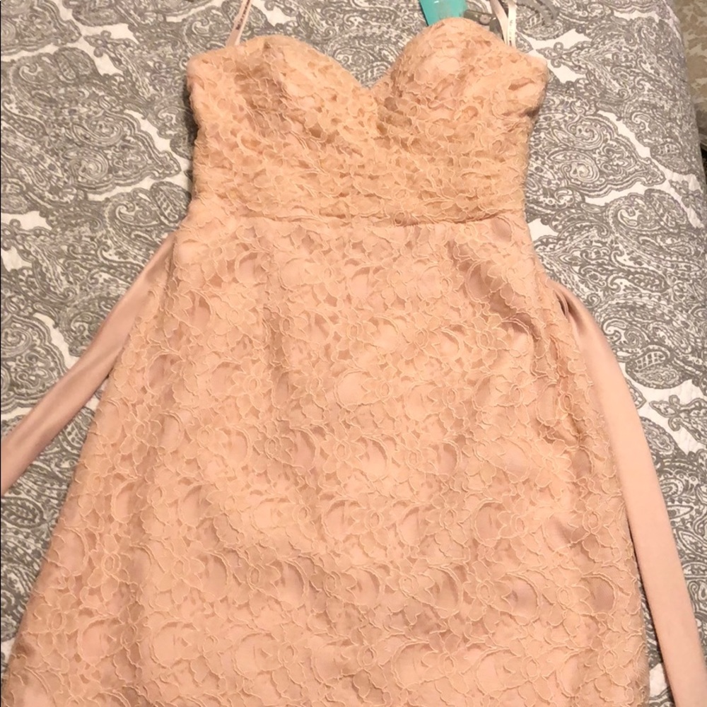 Blush lace dress.  Mori Lee by Madeleine Gardner